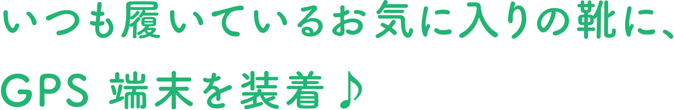 GPS 端末を装着